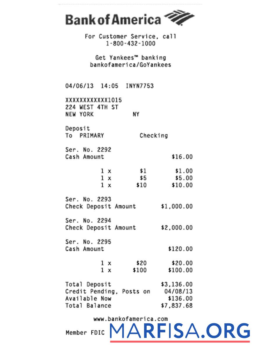 Realistic USA Bank of America check sample